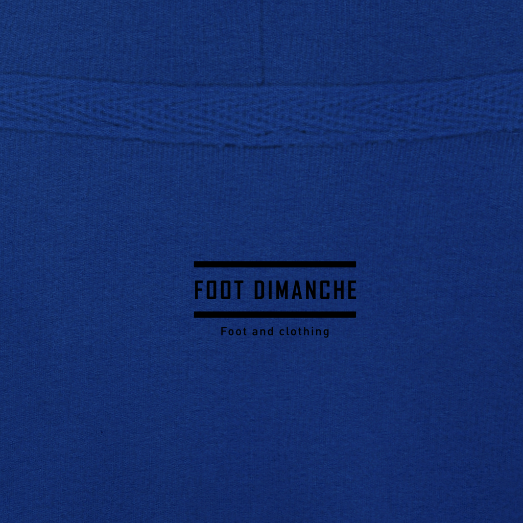 Sweat capuche Ronnie Paris brodé