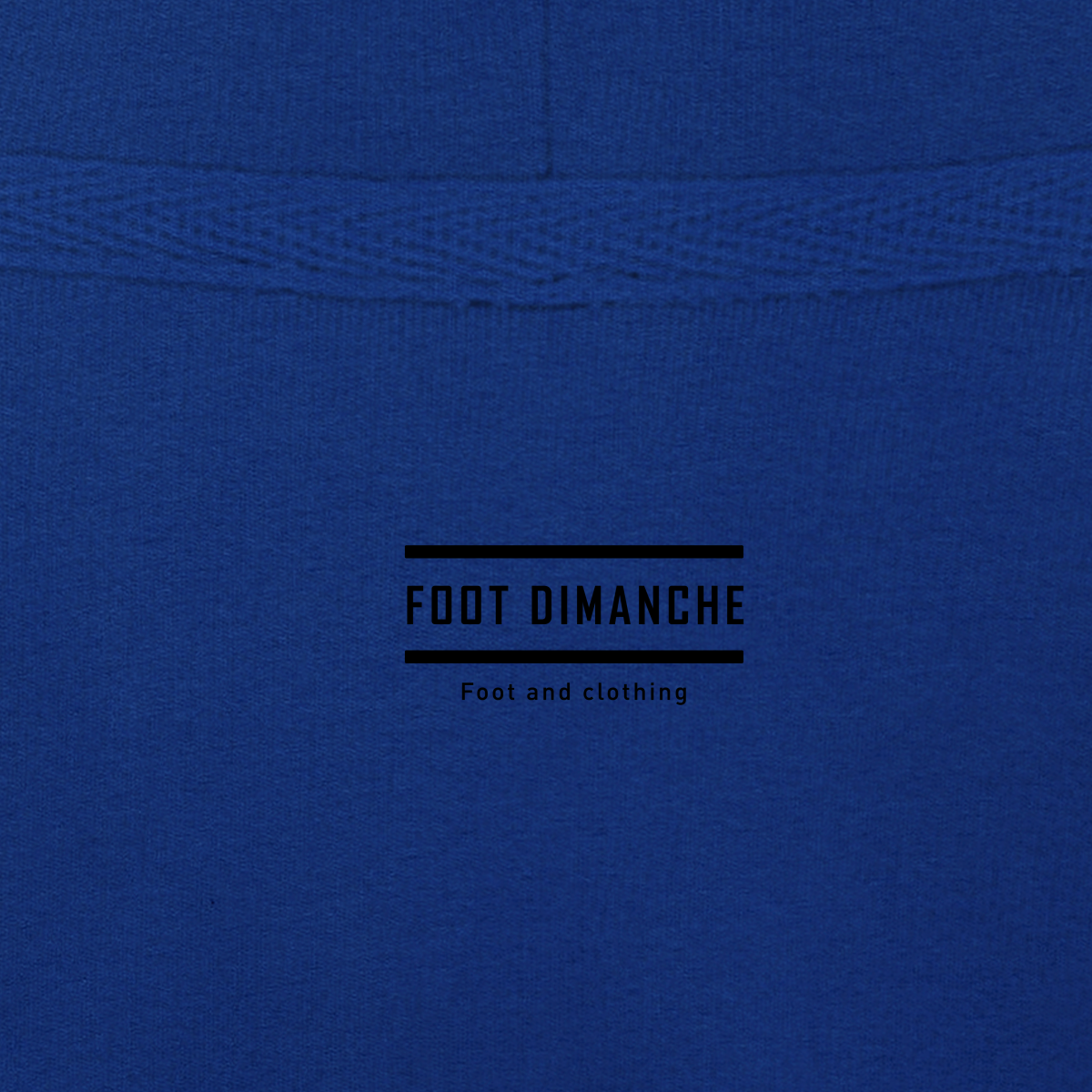 Sweat capuche Ronnie Paris brodé