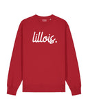 Sweat Lillois - Sweat Football Lille LOSC - Foot Dimanche